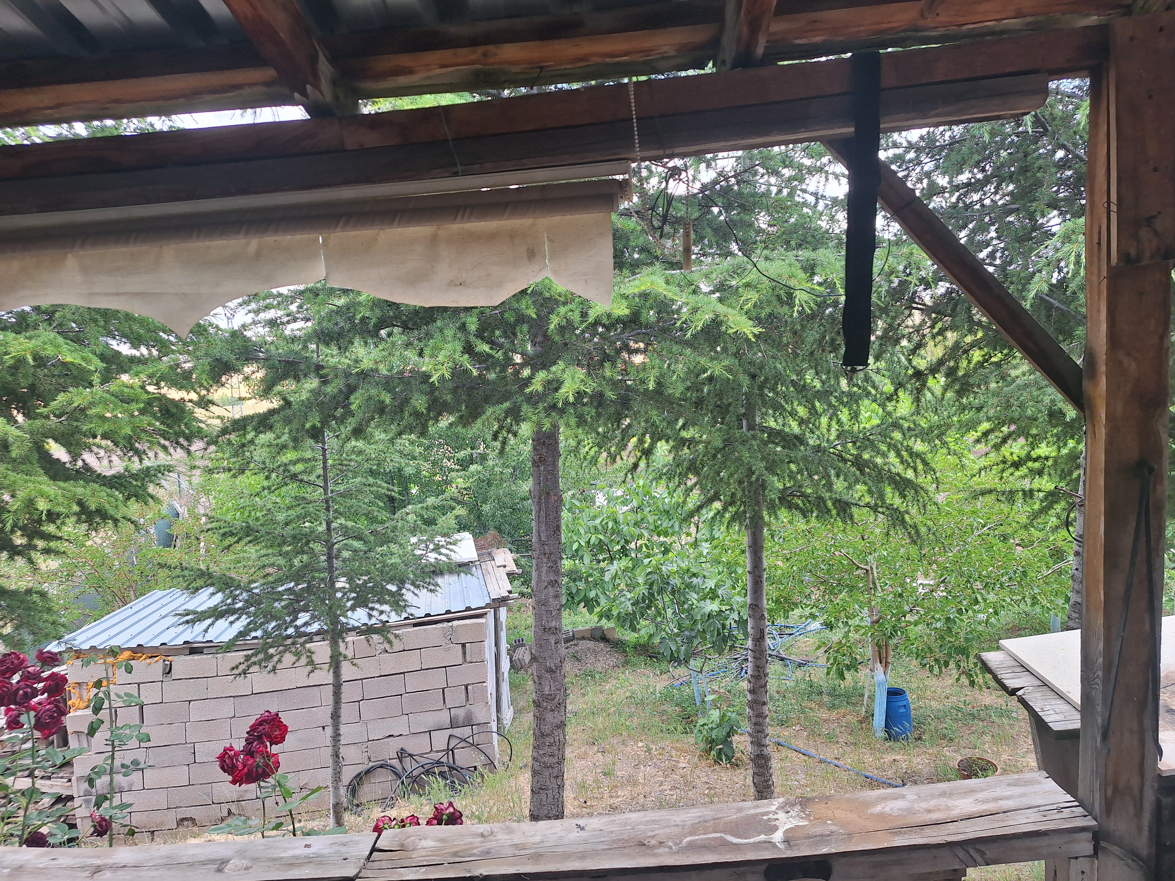 ACİL SATILIK ÇİFTLİK EVİ fotoğraf 3