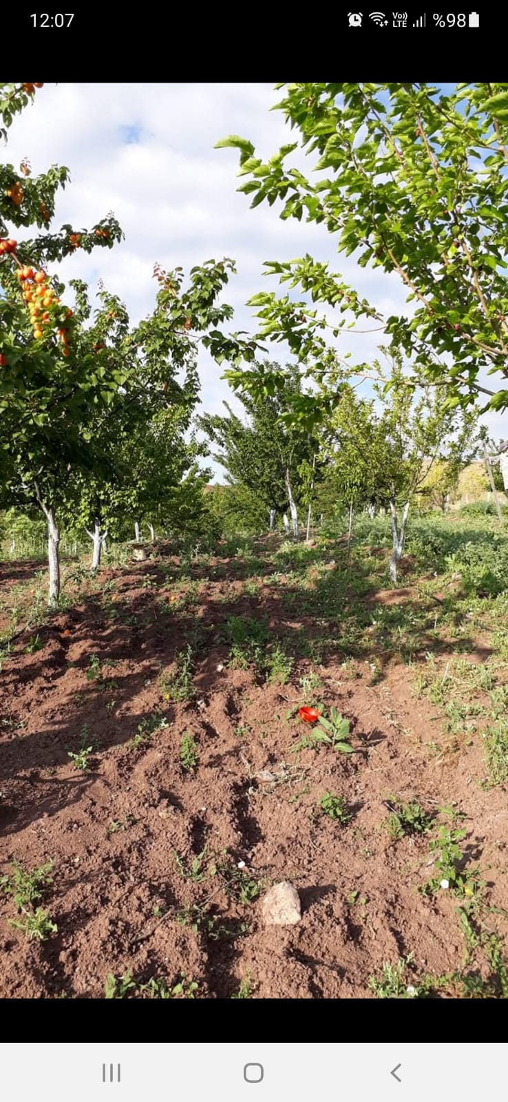 GÖLBAŞI / KARAALİDE YAPI KAYIT BELGELİ SATILIK BAĞ EVİ